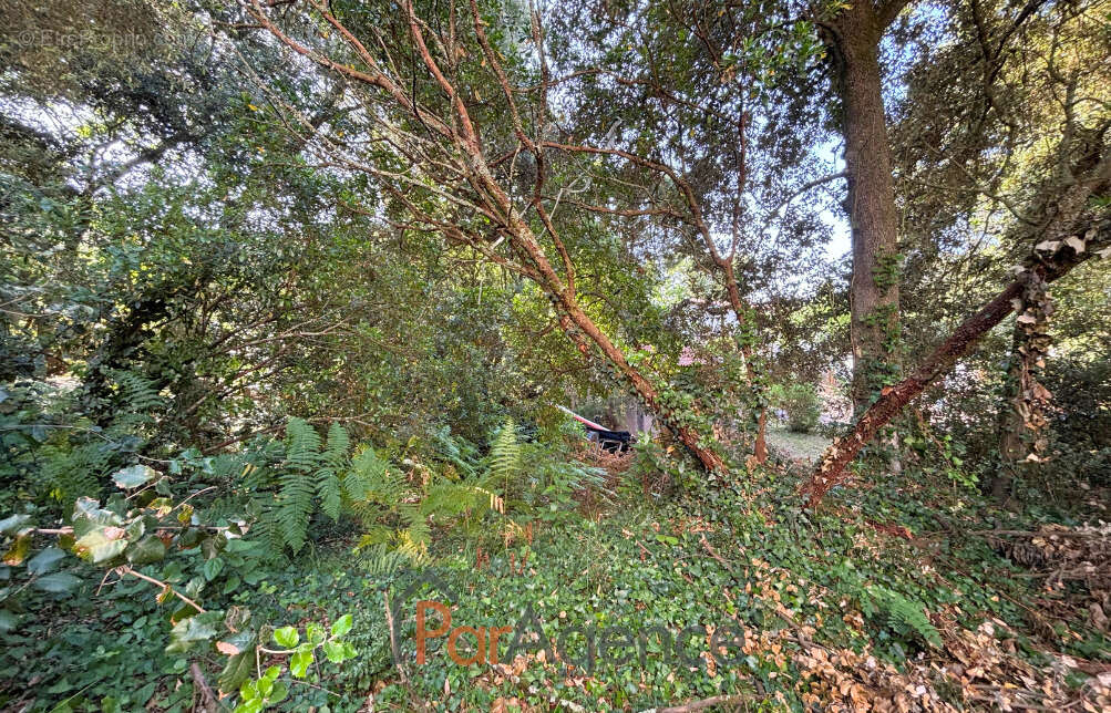 Terrain à VAUX-SUR-MER