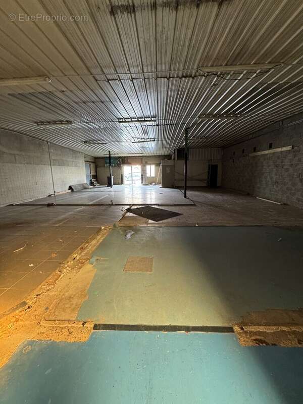 Commerce à SAINT-MARTIN-DES-CHAMPS