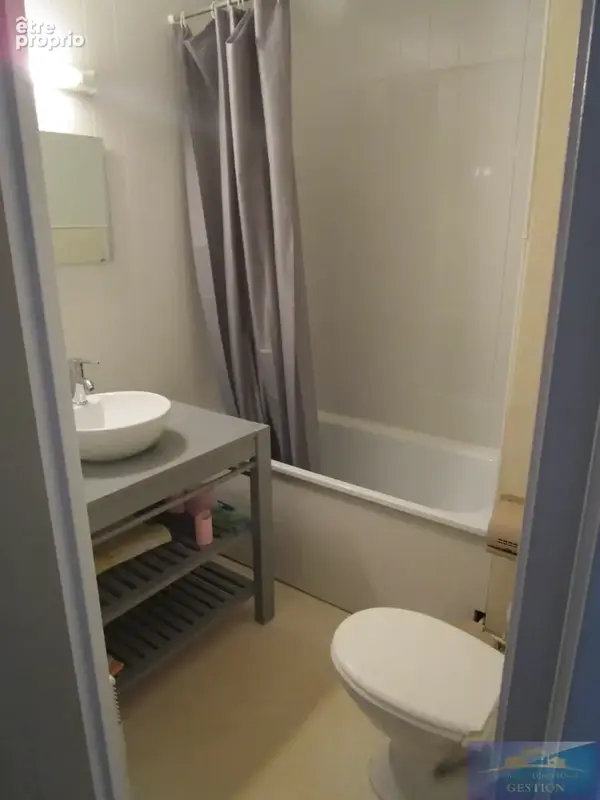 Appartement T2 / Box / 30 m2 - photo 3