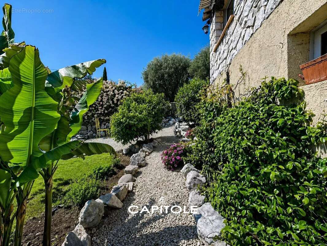 Maison à ROQUEFORT-LES-PINS