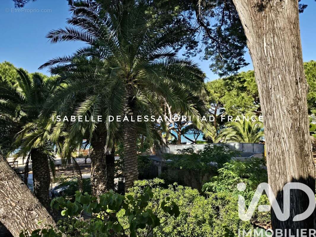 Photo 6 - Appartement à SAINT-CYR-SUR-MER