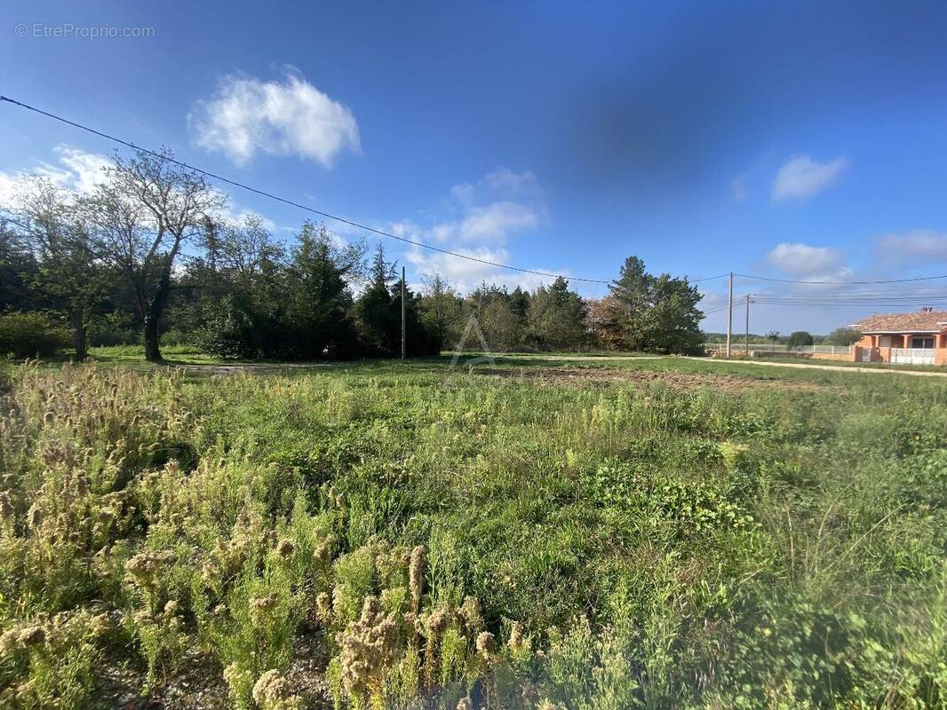 Terrain à VILLEMATIER