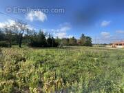 Terrain à VILLEMATIER