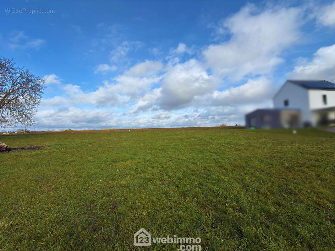 Terrain 804 m² à Beaufort-En-Vallee  - photo 3