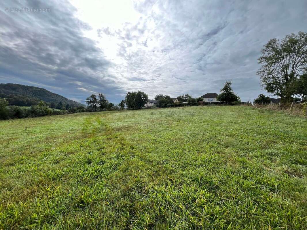 Terrain 6180 m² à Vebret  - photo 2