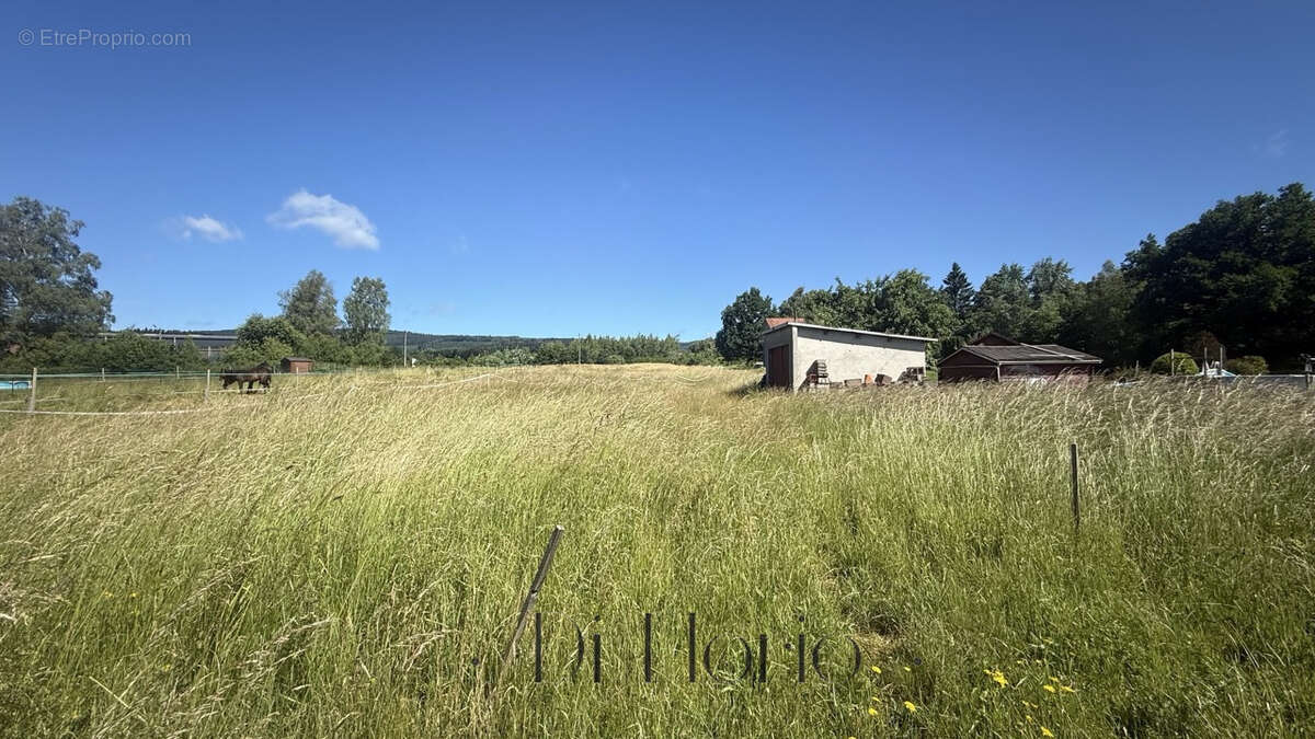 Provenchères-et-Colroy - Maison familiale 126 m2 avec dépendances et grand terrain - photo 15
