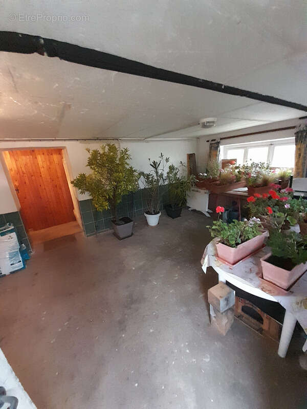 Appartement à RIBEAUVILLE