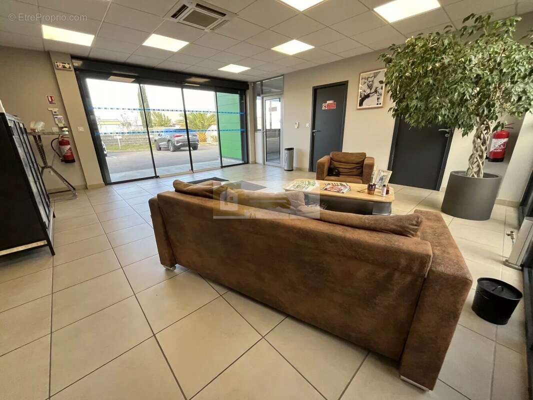 Commerce à CHATEAUNEUF-DU-RHONE