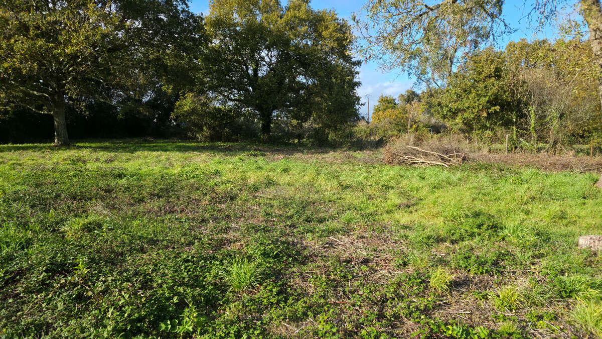 Terrain à SAINT-JOACHIM