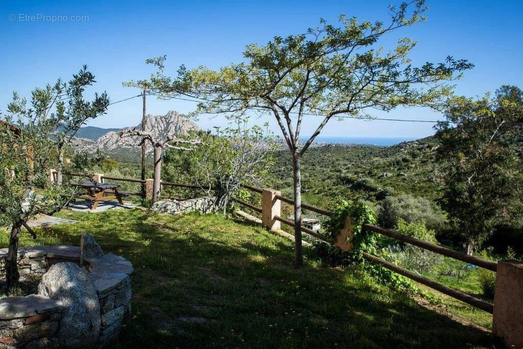 Maison à SANTO-PIETRO-DI-TENDA