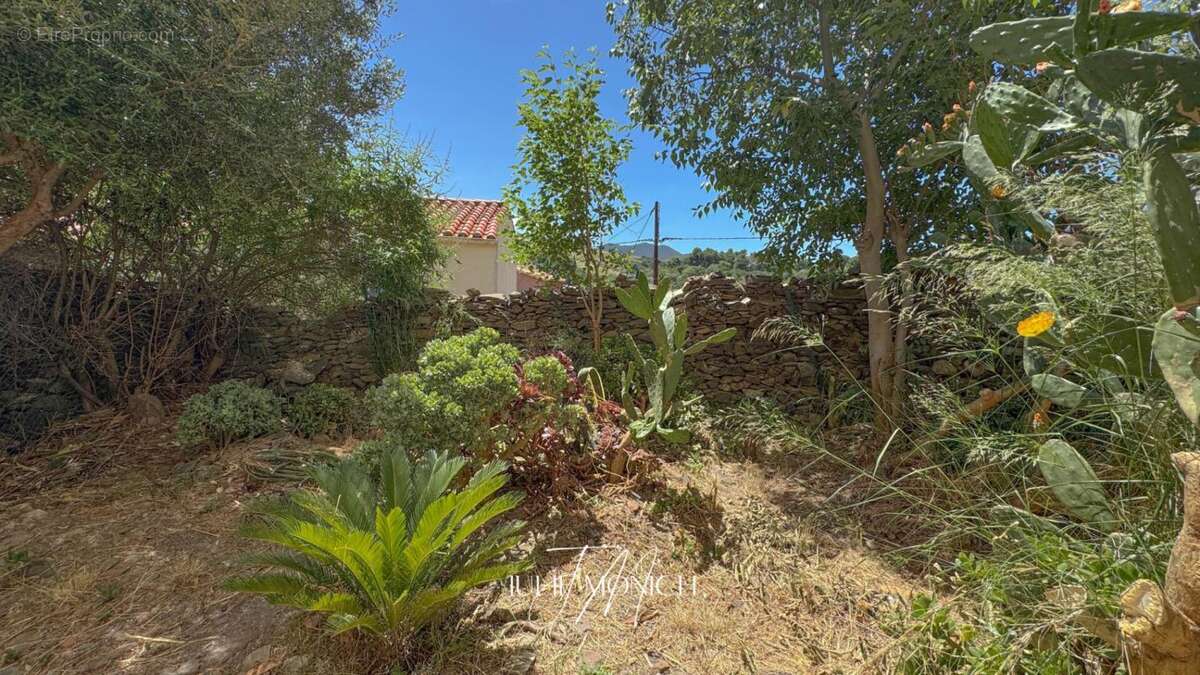 Appartement 2 chambres, caves, jardin - photo 18