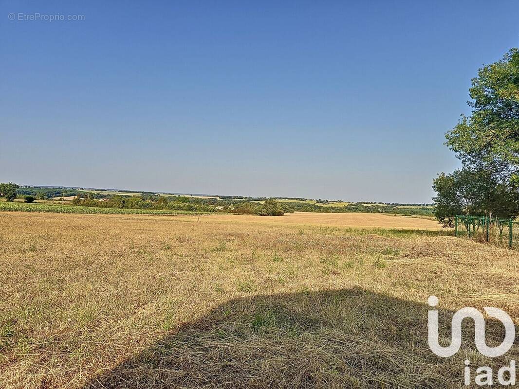 Photo 1 - Terrain à MAUVEZIN