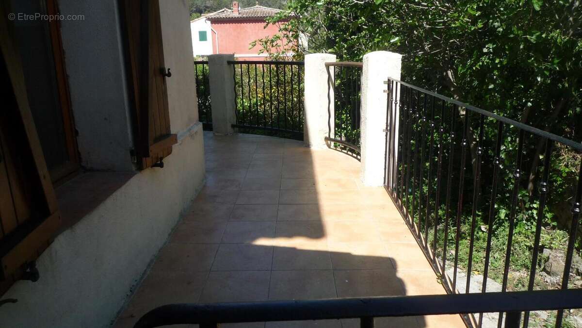Photo 4