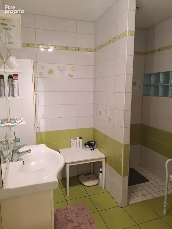 Maison sur un terrain de 9700m² . - photo 7