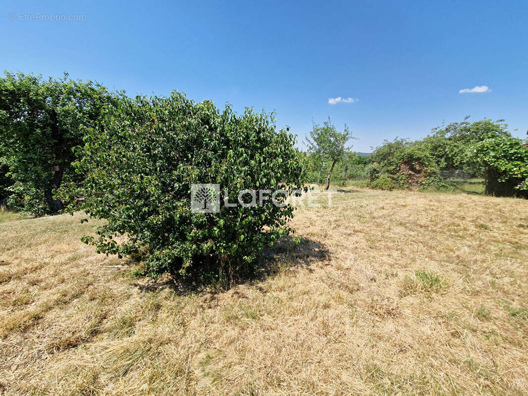 Maison à CHAMPLITTE