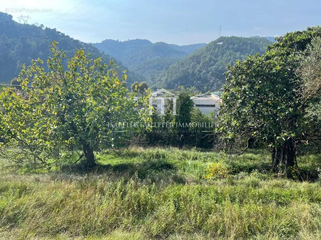 Terrain à L'ESCARENE