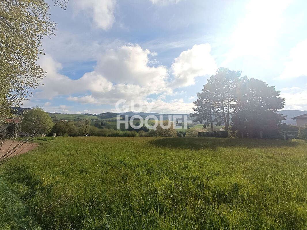 Terrain à MONTCHAL
