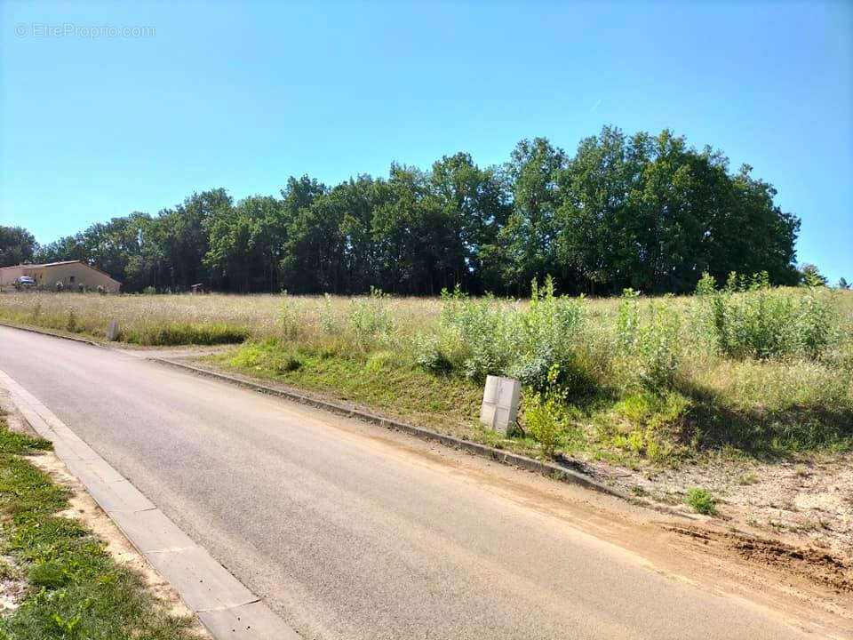 Terrain constructible Mauvezin(32120) 977m² - photo 5