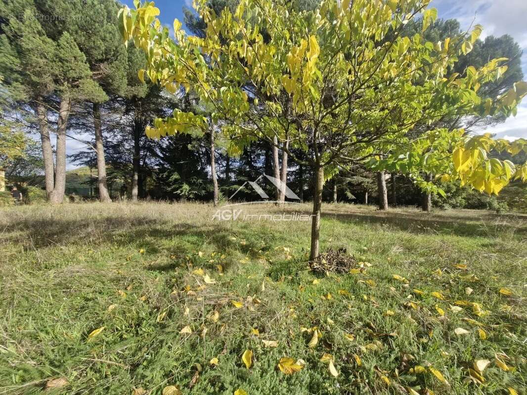 Terrain à SAINT-FLORENT-SUR-AUZONNET