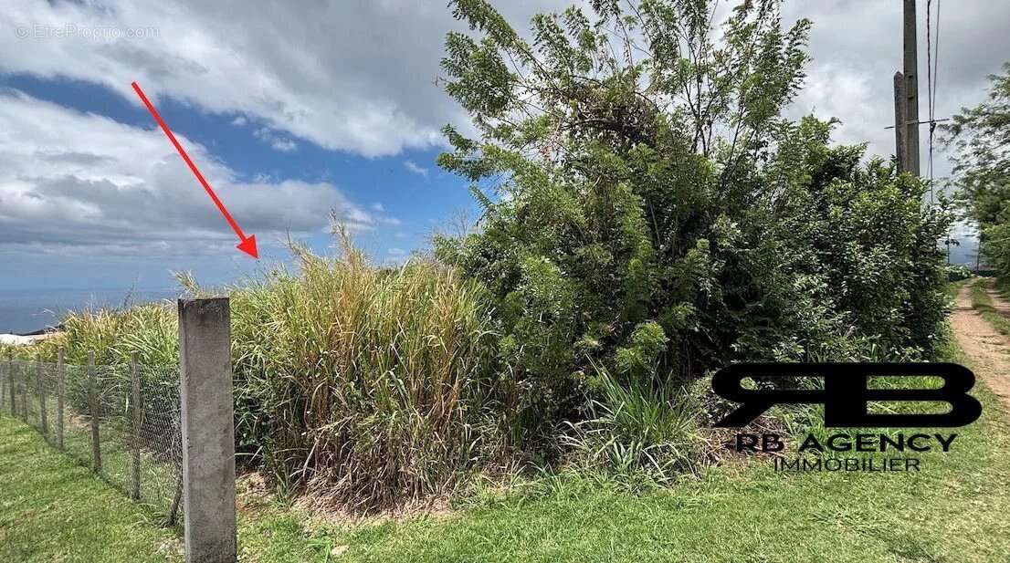 Terrain à LE CARBET