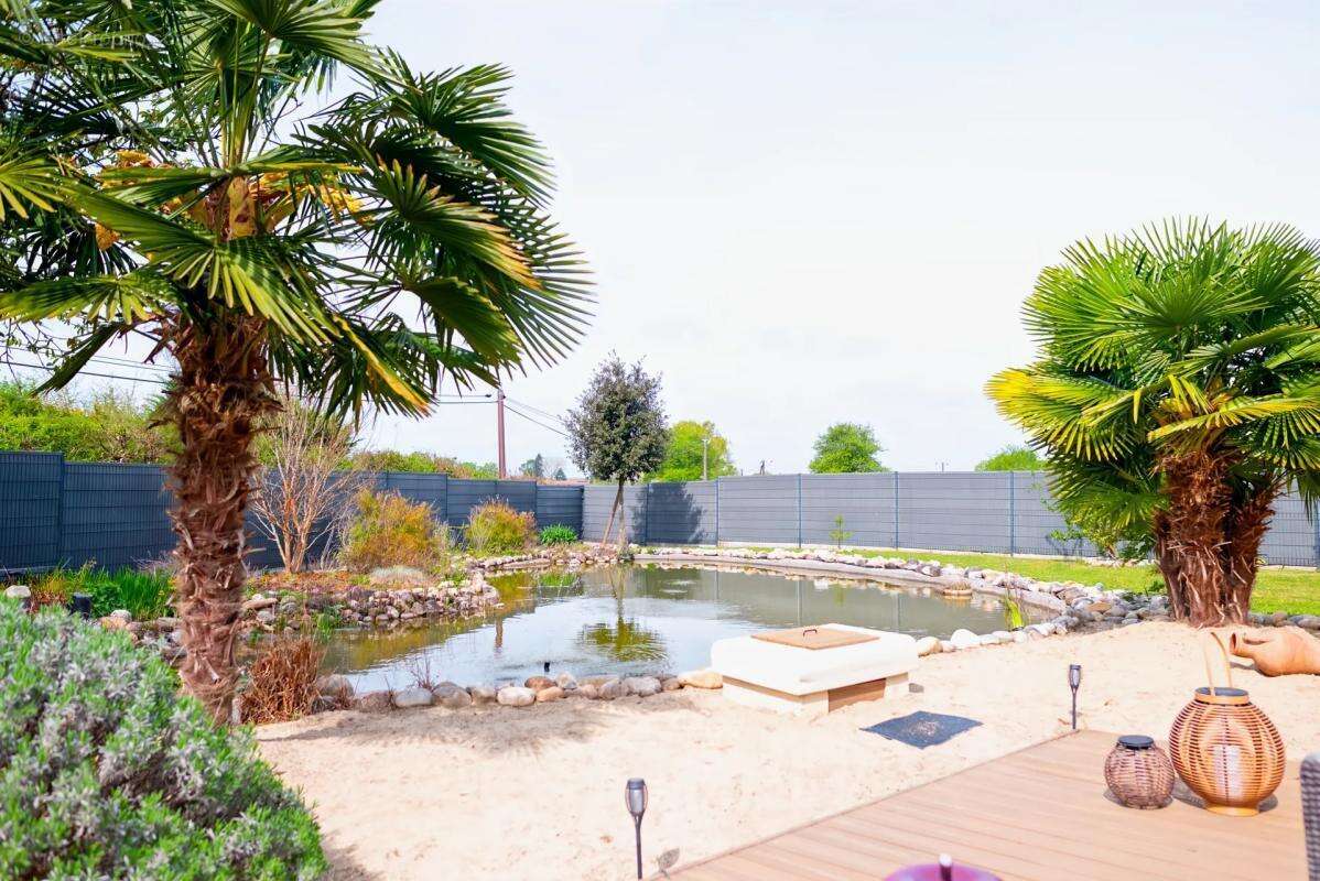 Maison à DOMPIERRE-SUR-VEYLE