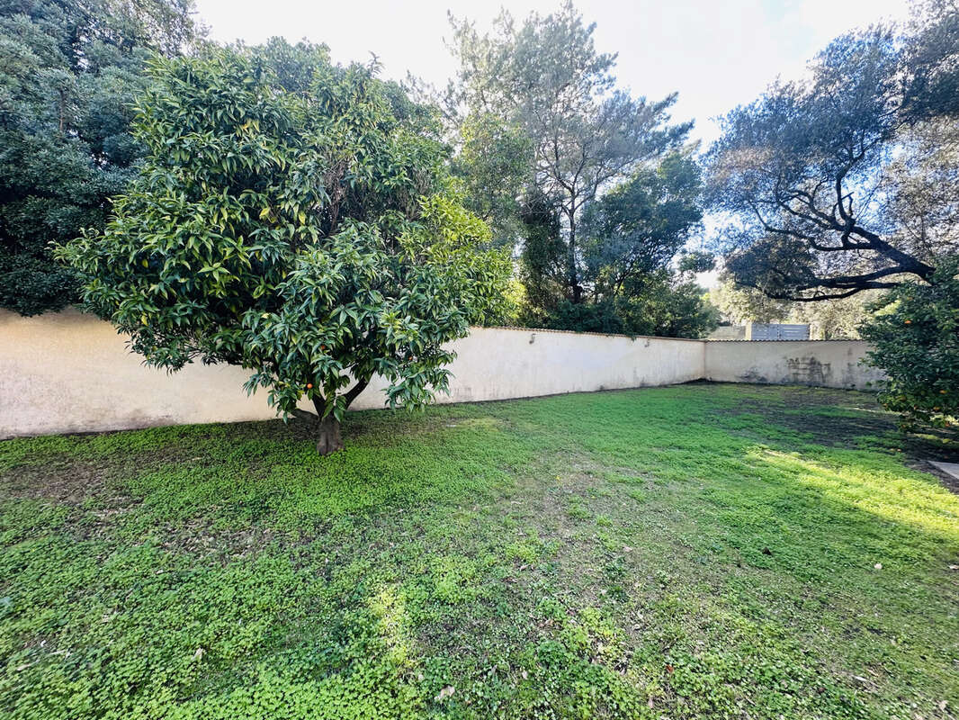Villa T5 piscine garage - photo 3