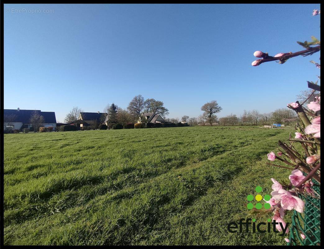 Terrain à LA CHAPELLE-ERBREE