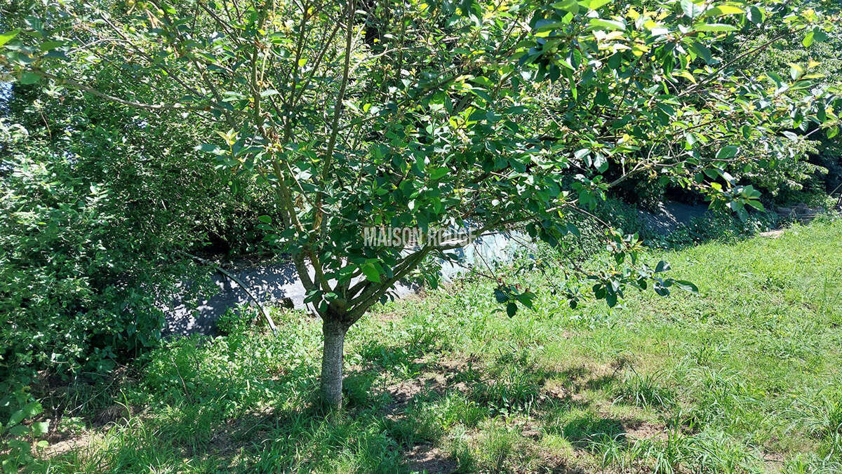 Longère  3 pièce(s) - photo 4
