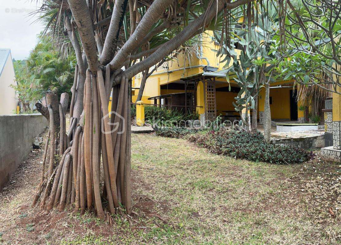 Maison à SAINT-JOSEPH