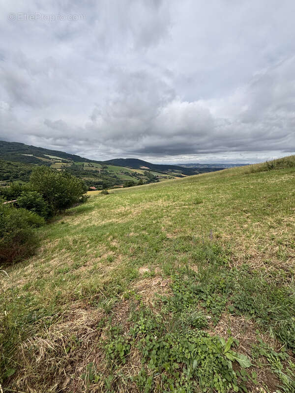 À VENDRE   Maison avec vue exceptionnelle sur plus de 3 400 m2 de terrain   Parc naturel régional du Pilat - photo 20
