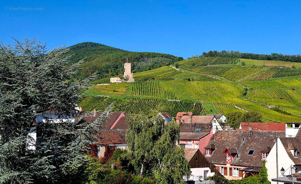 Maison à KATZENTHAL