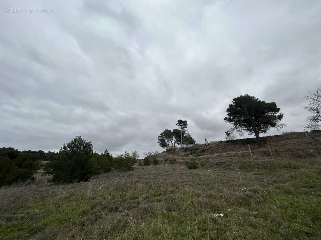 Terrain à LEZIGNAN-CORBIERES