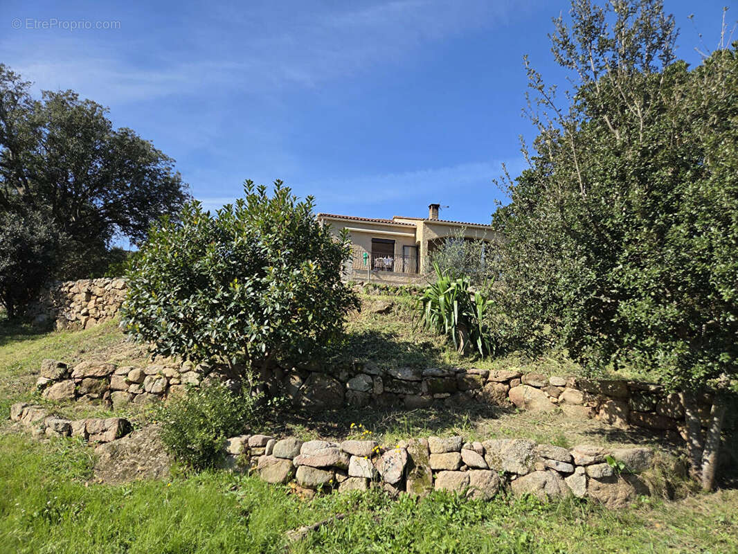 Maison à BELVEDERE-CAMPOMORO