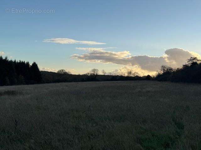 Terrain à SAINT-GERMAIN-D&#039;AUNAY