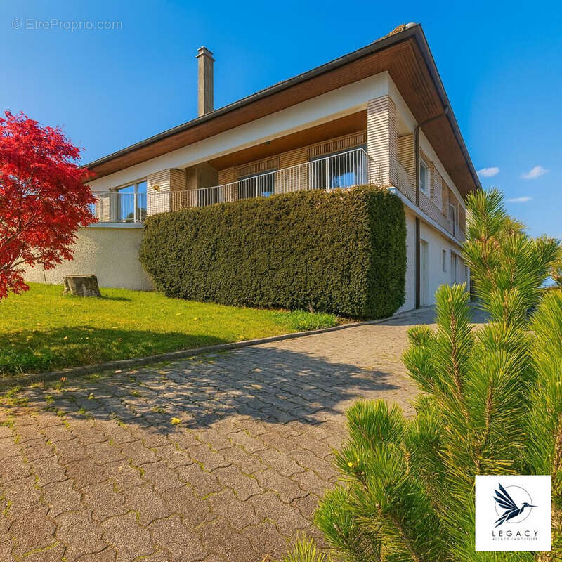 Maison 259 m² à Reichshoffen  - photo 2