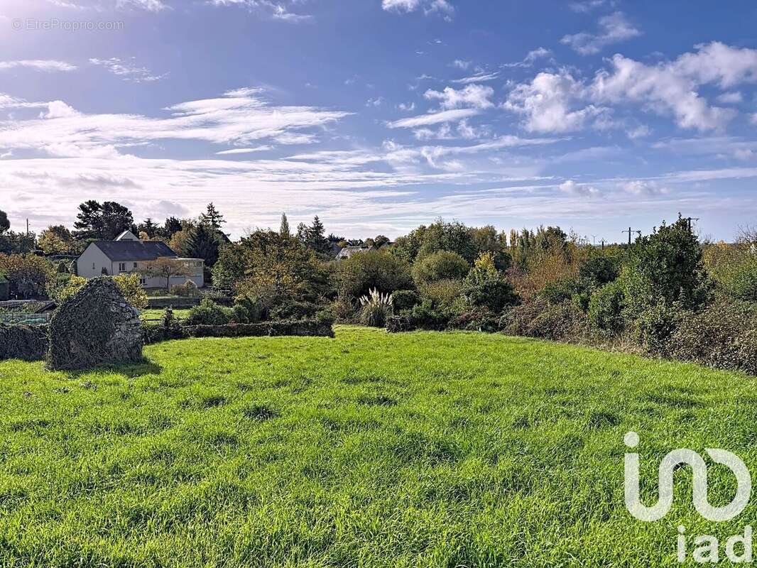 Photo 6 - Terrain à BEAULIEU-SUR-LAYON