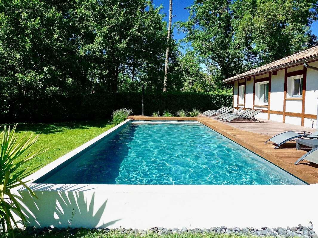 Entre Forêt Landaise et Art de Vivre  Ensemble de deux maisons sur 1638 m² de terrain boisé. - photo 19