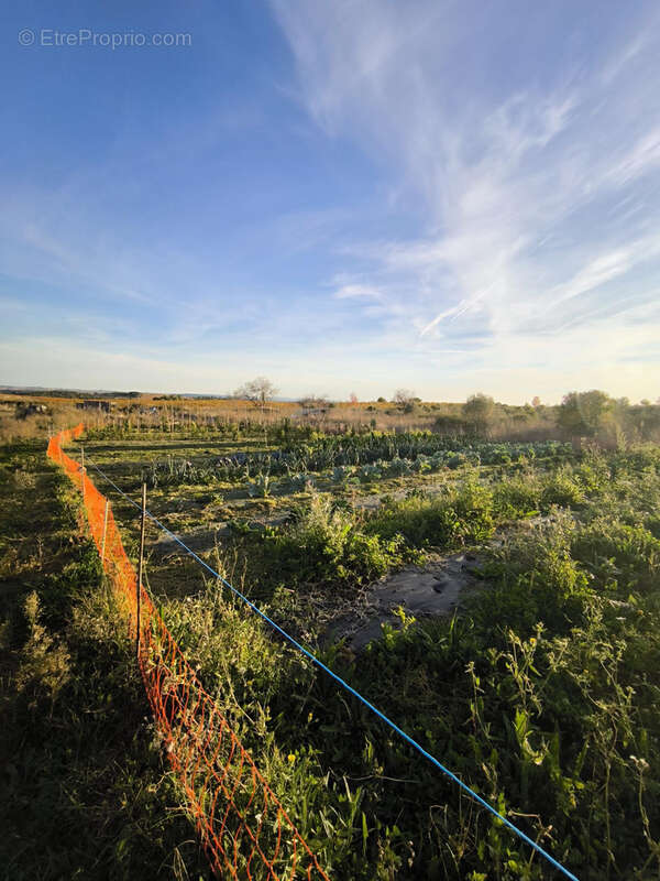 Maison à CAZOULS-LES-BEZIERS