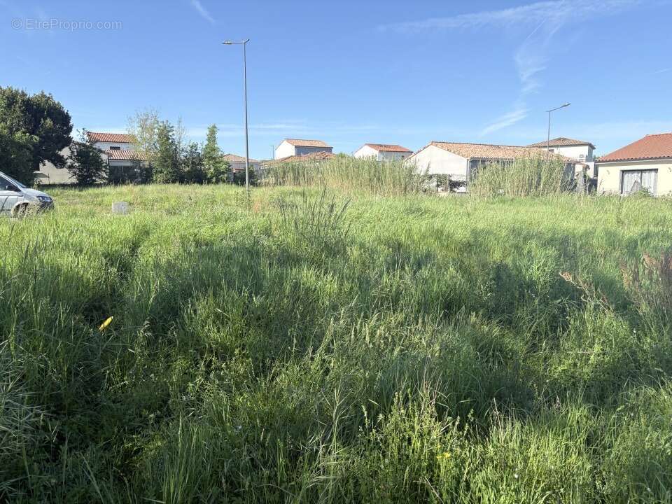 Terrain 390 m² à Gragnague  - photo 2