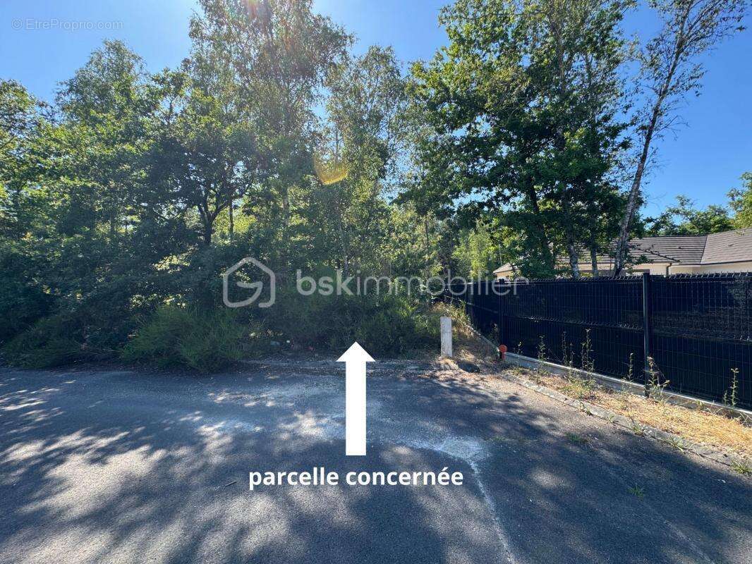 Terrain de 1646 m² - photo 4