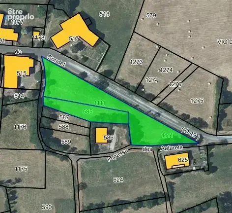 Terrain 3296 m² à Le Brignon  - photo 2
