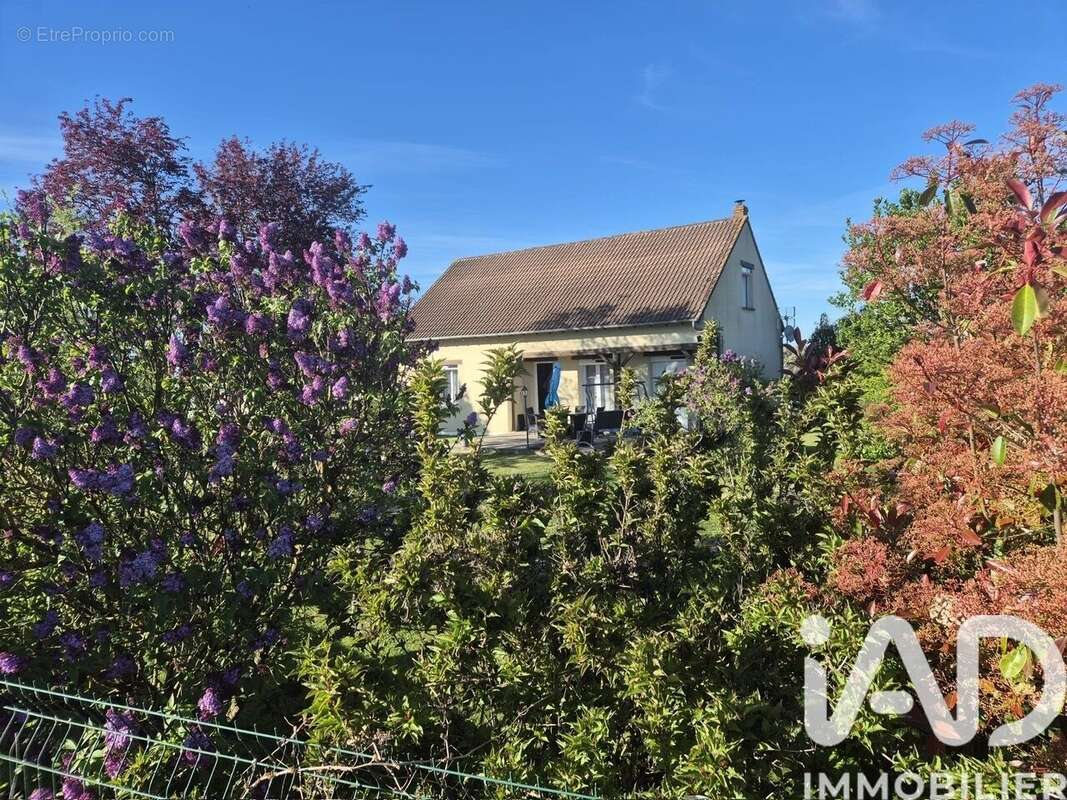 Photo 3 - Maison à SAINT-MARTIN-SUR-OCRE