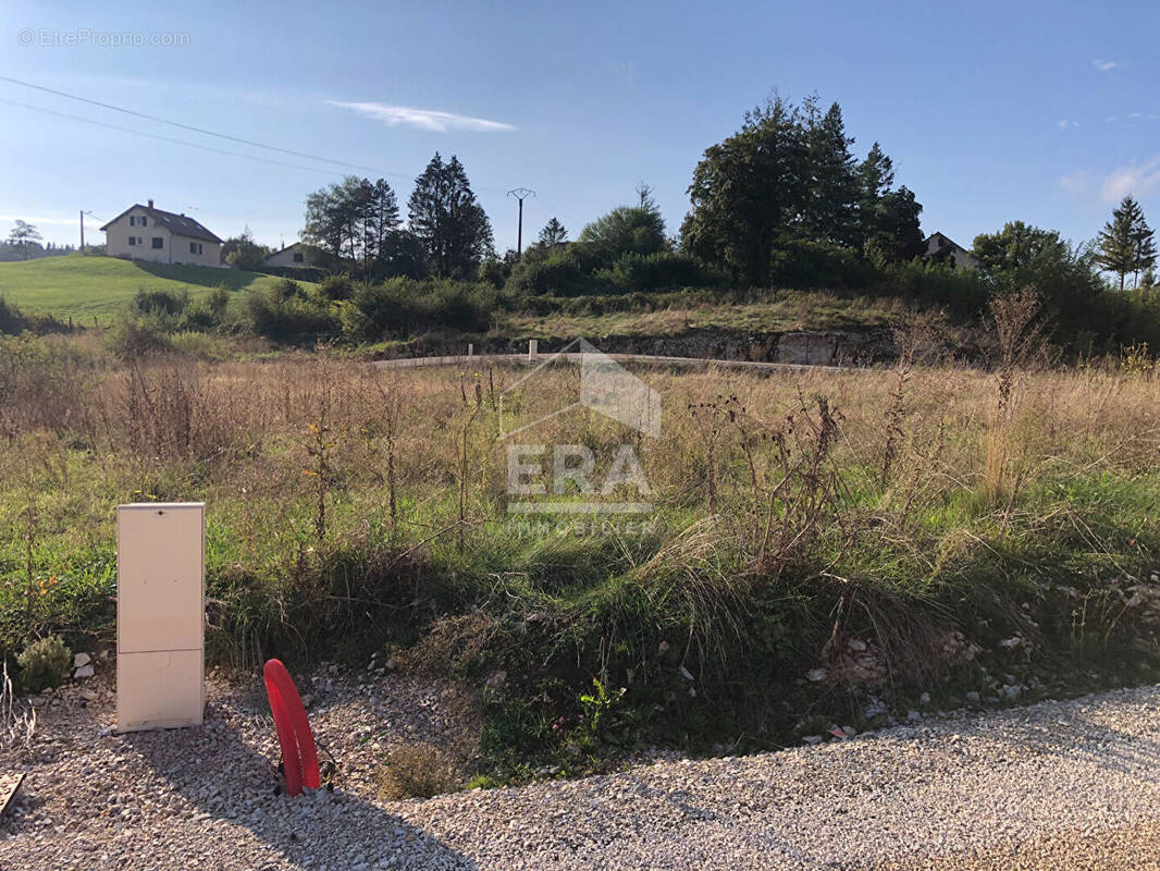 Terrain à L'HOPITAL-DU-GROSBOIS