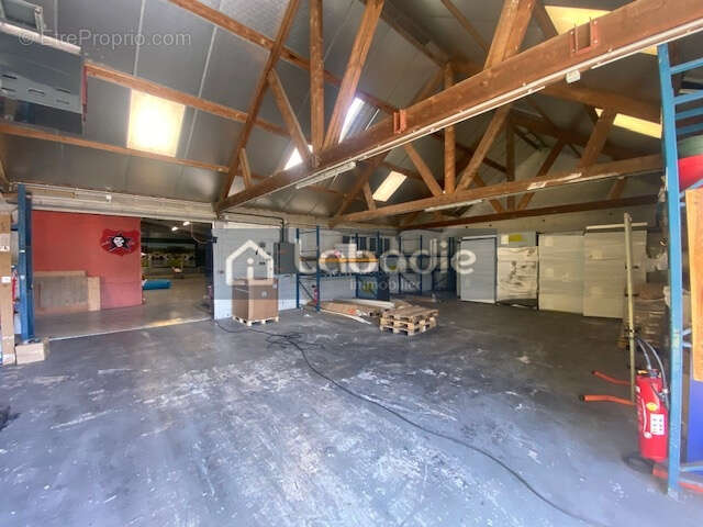 Plus de 1000m2 de surface couverte ! - photo 3