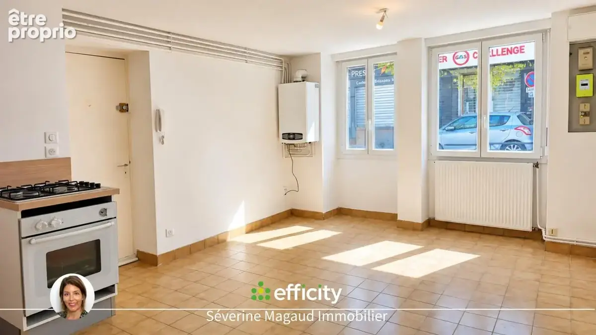 Appartement 21 pièces 457 m² à vendre à Tarare (69170) - photo 3