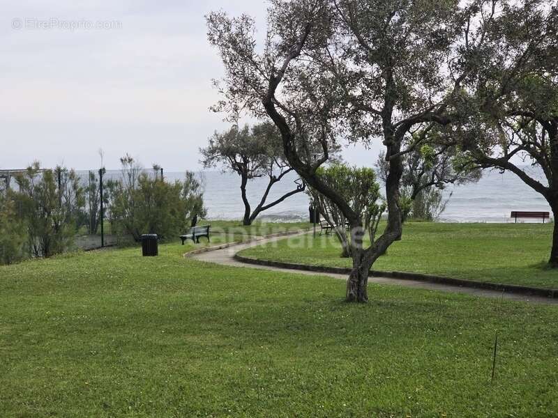 Appartement à CERVIONE