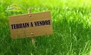 Terrain à MANDRES-LES-ROSES