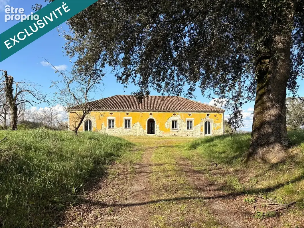 Photo 1 - Maison à DUNES