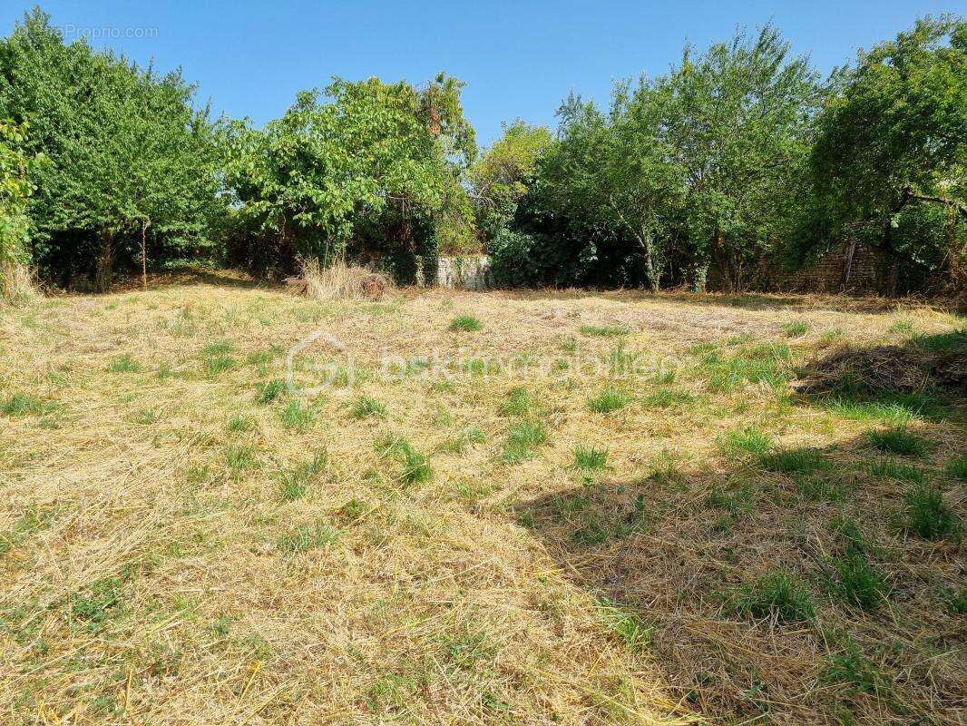 Maison à LA MOTHE-SAINT-HERAY