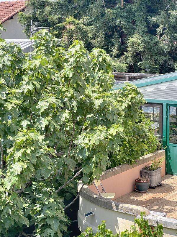 Avignon - Première ceinture -Maison bourgeoise 140m²- jardin - photo 3